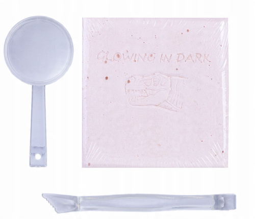 Skamielina Fluor Dinozaur Szkielet Tyranozaurus