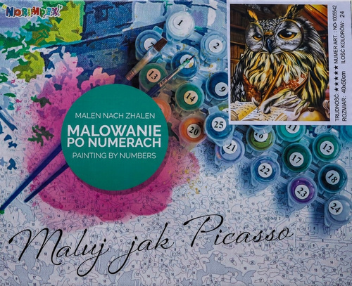 Malowanie Po Numerach Sowa, Księga 50X40 Cm Na Ramie