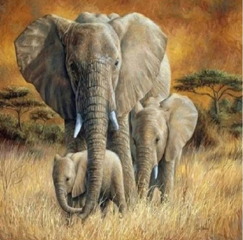 Malowanie Po Numerach Rodzina Słoni W Afryce 50x40 Z Ramą