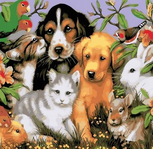 Norimpex Malowanie Po Numerach Urocze Zwierzątka