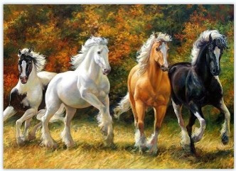 MALOWANIE PO NUMERACH KONIE W GALOPIE 50X40 +RAMA