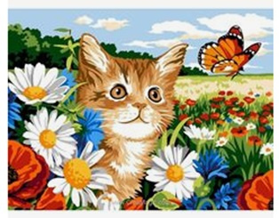 MALOWANIE PO NUMERACH KOT , MOTYL + RAMA 30x40