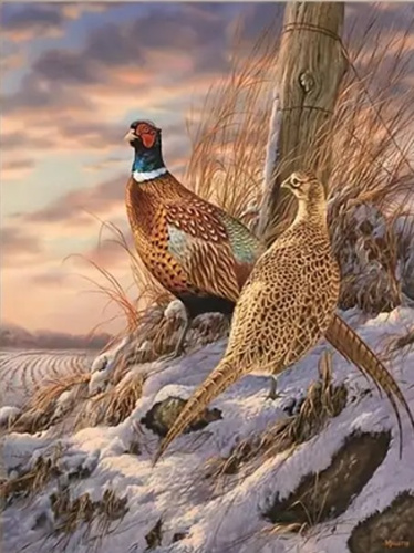 Diamentowa Mozaika Bażanty W Zimowej Atmosferze Haft Kreatywny 30x40 Cm
