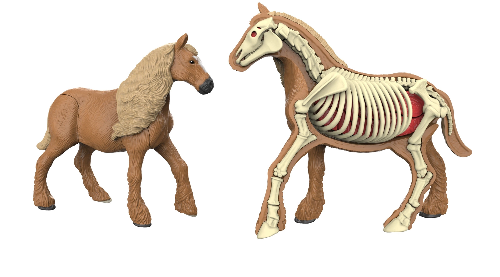 Figurka Zwierzęcia Koń Brunatny Model Anatomiczny Model Do Złożenia pol_pl_Figurka-Zwierzecia-Kon-Brunatny-Model-Anatomiczny-Model-Do-Zlozenia-22520_1