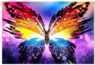 Malowanie Po Numerach 50X40 Cm Kreatywne Z Ramą Kolorowy Motyl