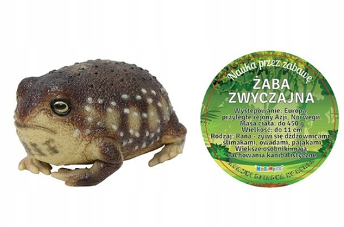 Żaba Common Rain 26 Cm Długości