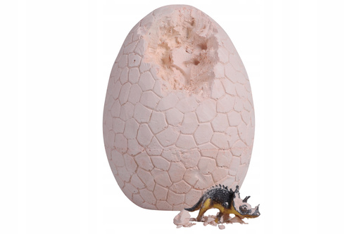 Skamielina Dinozaur W Skale Dinozaur