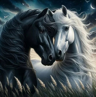 Diamentowa Mozaika Koń Czarny I Biały Portret 30x40 Cm Kreatywne Diamenty