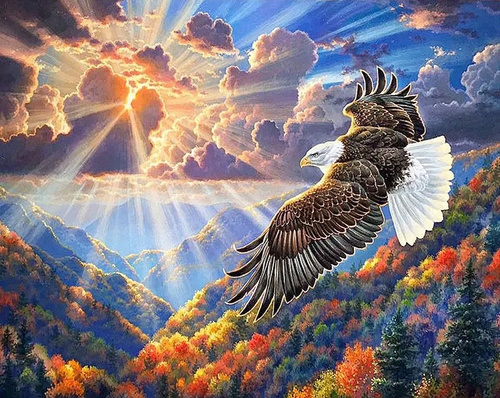 Diamentowa Mozaika Latający Orzeł W Chmurach 30x40Cm Kreatywne Diamenty