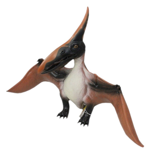 DINOZAUR PTERANODON BRĄZOWY WOREK /24/12
wymiary 50*33 cm NS19-476
Wymiary 49x16x33 cm
Wyaga 450 g