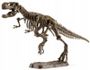 Skamielina Dinozaura Z Modelem Dinozaura Do Złożenia Z Zestawem Narzędzi