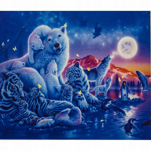 Malowanie Po Numerach Zwierzęta Polarne Nocą 40X50