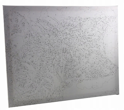 Malowanie Po Numerach 40 X 50 Cm Konie Na Pustyni