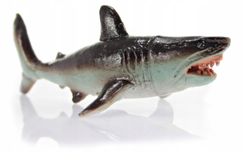 Rekin Żarłacz Biały 18 Cm Długości Ręcznie Malowane