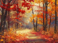 Malowanie Po Numerach Kolorowa Jesień W Lesie 50X40 Cm Na Ramie Kreatywne