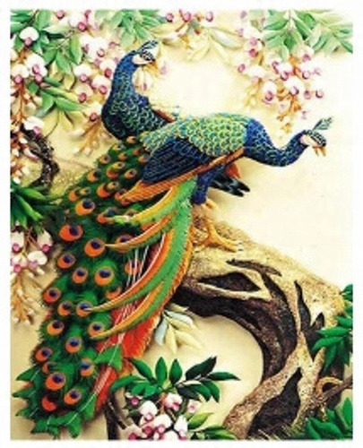 Malowanie Po Numerach Pawie 50X40 Cm Na Ramie