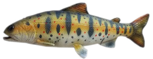 RYBA ŁOSOŚ AMAGO 35 CM DŁUGOŚCI PAK 36