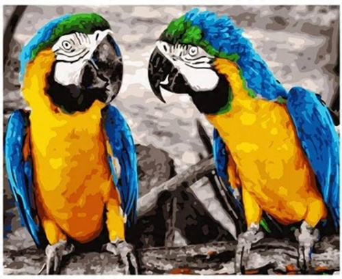 Malowanie Po Numerach Dwie Papugi 50X40 Cm Z Ramą Kreatywne