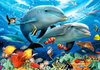 Malowanie Po Numerach Dwa Delfiny W Oceanarium Z Rybami 50x40 Z Ramą