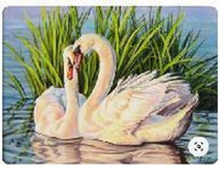 Malowanie Po Numerach Łabędzie, Trzciny 50X40 Cm Na Ramie
