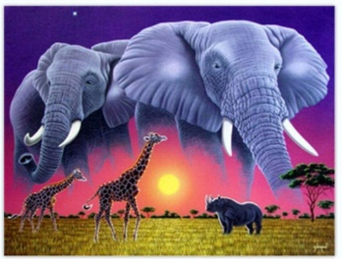 Malowanie Po Numerach Słonie, Sawanna 50X40 Na Ramie
