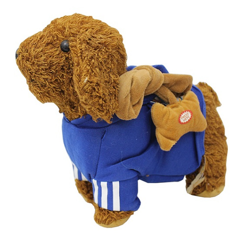 PIES NA SMYCZY W DRESIE