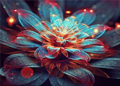 Diamentowa Mozaika Kwiat Lilia Wodna 30x40