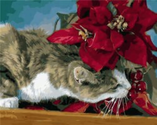 Malowanie Po Numerach 40 X 50 Cm Kot Zaciekawiony