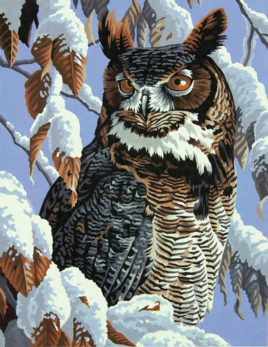 Malowanie Po Numerach Sowa Na Tle Ośnieżonych Gałęzi 50X40 Z Ramą Kreatywne