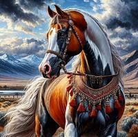 Diamentowa Mozaika Koń W Indiańskiej Uprzęży 30x40 Cm Kreatywne Diamenty