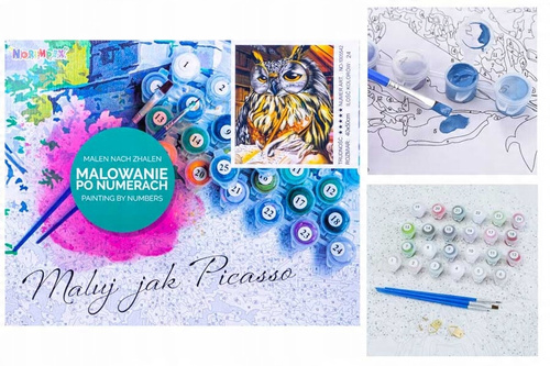 Malowanie Po Numerach Sowa, Księga 50X40 Cm Na Ramie