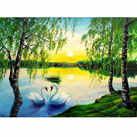 Malowanie Po Numerach Łabędzie Na Jeziorze 40X50