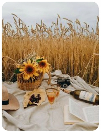 Diamentowa Mozaika Haft Kreatywny Piknik Na Polu Zboża 30x40 Cm