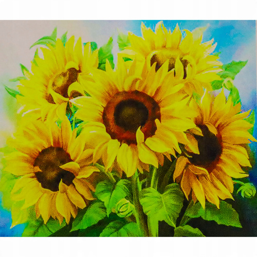 Malowanie Po Numerach Bukiet Słoneczników 50X40 Z Ramą
