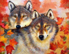 Malowanie Po Numerach 40 X 50 Cm Wilk I Wilczyca
