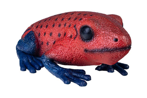 ŻABA DRZEWOŁAZ CZERWONA 26 CM DŁUGOŚCI