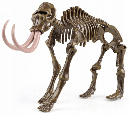 Skamielina Dinozaura Z Modelem Dinozaura Do Złożenia Z Zestawem Narzędzi
