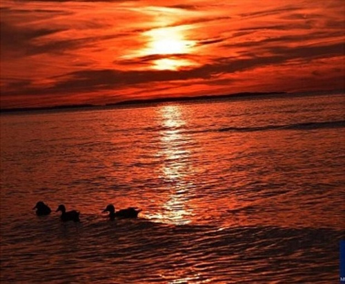 Malowanie Po Numerach Zachód Słońca Nad Polskim Morzem 40X50 Z Ramą