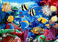 Malowanie Po Numerach Kolorowe Ryby W Oceanie 40X50 Cm Na Ramie Kreatywne