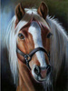 Diamentowa Mozaika Koń Z Jasną Grzywą 30X40 Cm Kreatywne Diamenty