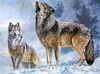 Diamentowa Mozaika Haft Diamentowy Wilki W Śniegu 30X40 Cm Kreatywne Diamenty