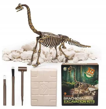 Skamielina Dinozaura Diplodok Do Odkrycia Przez Małych Archeologów