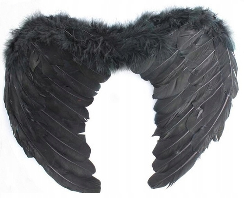Zestaw Czarnych Skrzydeł Do Stroju Na Hallowen Festiwal Bal Przebierańców