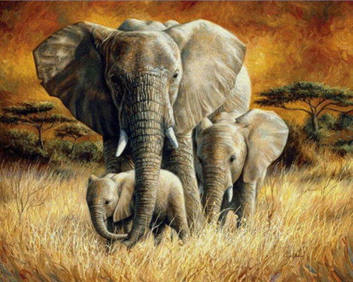 Malowanie Po Numerach Rodzina Słoni W Afryce 50x40 Z Ramą