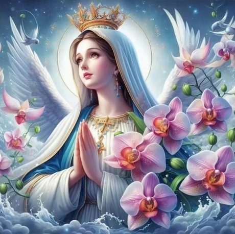 Malowanie Po Numerach Maryja Z Anielskimi Skrzydłami 40X50 Cm Na Ramie
