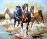 Malowanie Po Numerach Dzikie Konie W Galopie 40X50 Cm Na Ramie Kreatywne