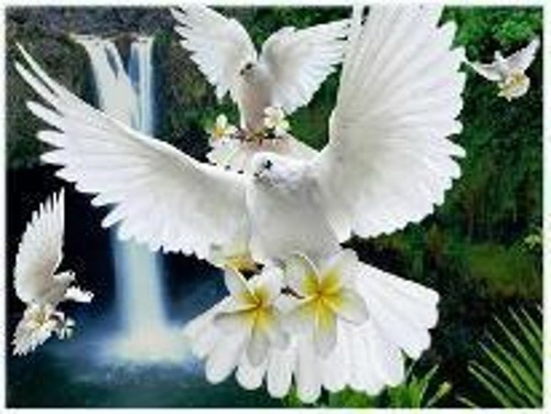 Diamentowa Mozaika Gołębie Z Liliami Koło Wodospadu Haft Kreatywny 30x40 Cm