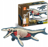 Figurka Dinozaura Mozozaur Model Anatomiczny Model Do Złożenia
