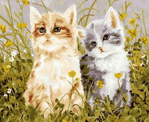 Norimpex Malowanie Po Numerach Dwa Urocze Kotki