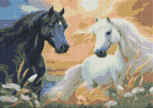 Diamentowa Mozaika Haft Kreatywny Czarny I Biały Koń Na Łące 30x40 Cm